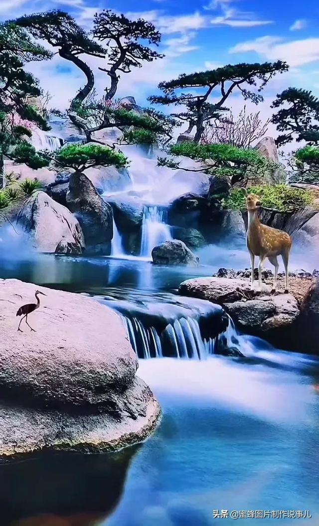福莱纳找车轮